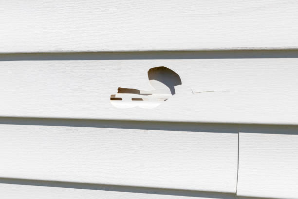  , MT Siding Installation Pros