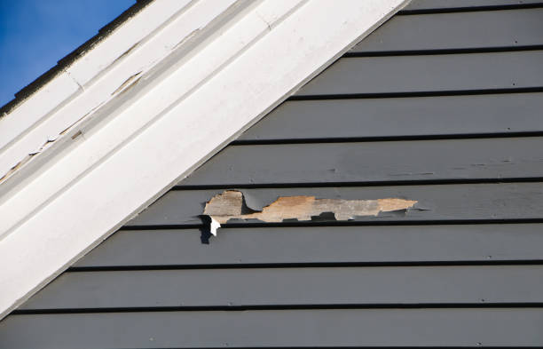 Best Siding Painting and Refinishing  in , MT