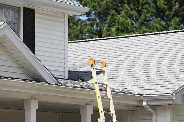 Best Storm Damage Siding Repair  in , MT