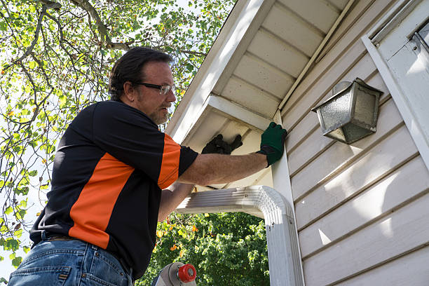Best Historical Building Siding Restoration  in , MT
